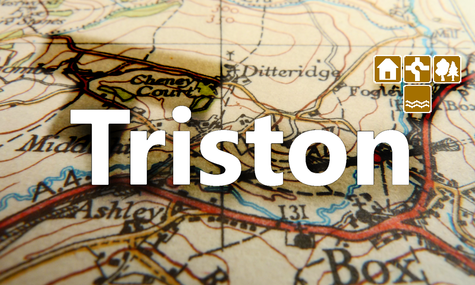 Triston